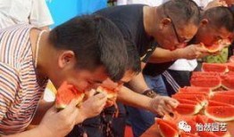 淄博吃瓜群众,吃瓜群众的热议焦点