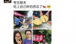 吃瓜同学的视频,一场视觉盛宴的幕后故事