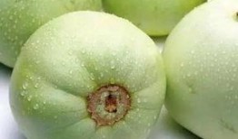 梦到我买香瓜吃瓜,香瓜美食之旅