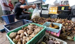 滨州吃瓜中毒案件,揭秘夏日美食背后的安全隐患