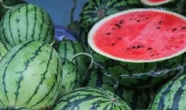 吃瓜西瓜姐,揭秘娱乐圈的甜蜜瓜田