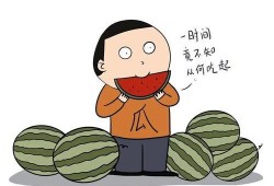 用英语吃瓜,English Edition: The Buzz Around the Watermelon - A Gossipy Overview