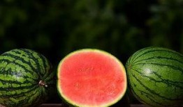 吃瓜为啥容易腹泻,揭秘瓜果摄入与肠胃不适的关联