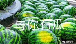 二游吃瓜,揭秘游戏圈那些不为人知的幕后故事