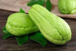 吃的佛手瓜和观赏佛手瓜,佛手瓜的美食与观赏双重魅力