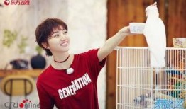 耿直的吃瓜,揭秘娱乐圈那些不为人知的幕后故事