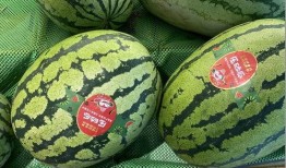 瓜哥吃瓜重庆图片头像,重庆街头风情尽收眼底