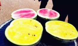 南宁吃瓜爆料,最新爆料一网打尽！