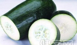 夏季吃瓜必备的食物