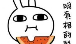 新年吃瓜文案短句搞笑,笑料横生的瓜界狂欢