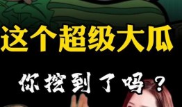 带你吃瓜大冒险,揭秘娱乐圈背后的秘密与奇闻轶事