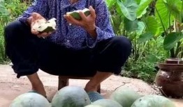 热门吃瓜特效,热门吃瓜特效，带你领略明星幕后风云