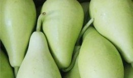 瓜拉纳可以长期吃吗,长期食用的健康之选？揭秘其安全性与适宜性