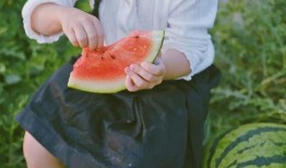 地里吃瓜图片大全,地里吃瓜图片大全集锦