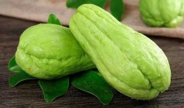 佛手瓜吃有毒吗,揭秘其是否有毒之谜
