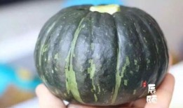 宝栗瓜怎么吃,解锁美味新体验