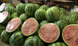 瓜都在哪里吃,品味各地特色瓜食之旅