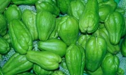 吃瓜不长脑,如何不长脑地享受八卦盛宴