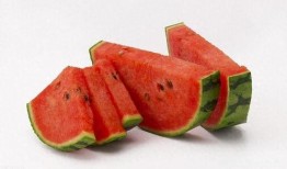 吃瓜自己也成瓜,我的成长之旅