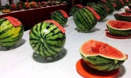 吃瓜梁某,一场网络舆论的风暴与反思