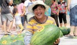 成都沙河吃瓜事件,一场网络热议背后的真相与反思