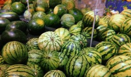 吃瓜不用手游戏