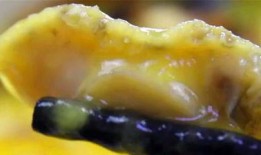 福建小哥吃瓜,揭秘闽南街头美食风情