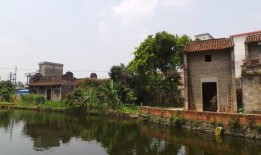 增城新塘吃瓜,探寻夏日吃瓜新风尚