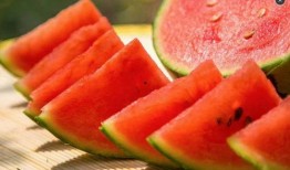 居里吃瓜预测,揭秘科学巨匠的闲适时光