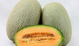 哈密瓜跟辣条能一起吃吗,美味碰撞，可否同食？