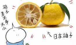 冬至吃的什么瓜,品味传统美食——南瓜、冬瓜、西瓜的甜蜜诱惑