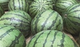 吃瓜不瓜地瓜,揭秘地瓜的神奇魅力