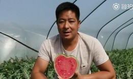 老婆瓜怎么吃,解锁美味新方式