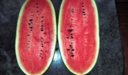 黑美人瓜怎样吃,解锁美味新体验