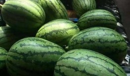 吃瓜7组,一场关于娱乐圈的狂欢盛宴